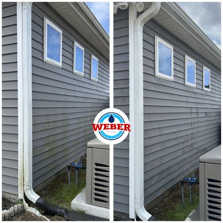 How to Remove Mold, Mildew, and Algae From Your Home’s Exterior