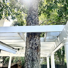 Deck-Cleaning-in-Historic-Downtown-Wilmington 6