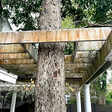 Deck-Cleaning-in-Historic-Downtown-Wilmington 7