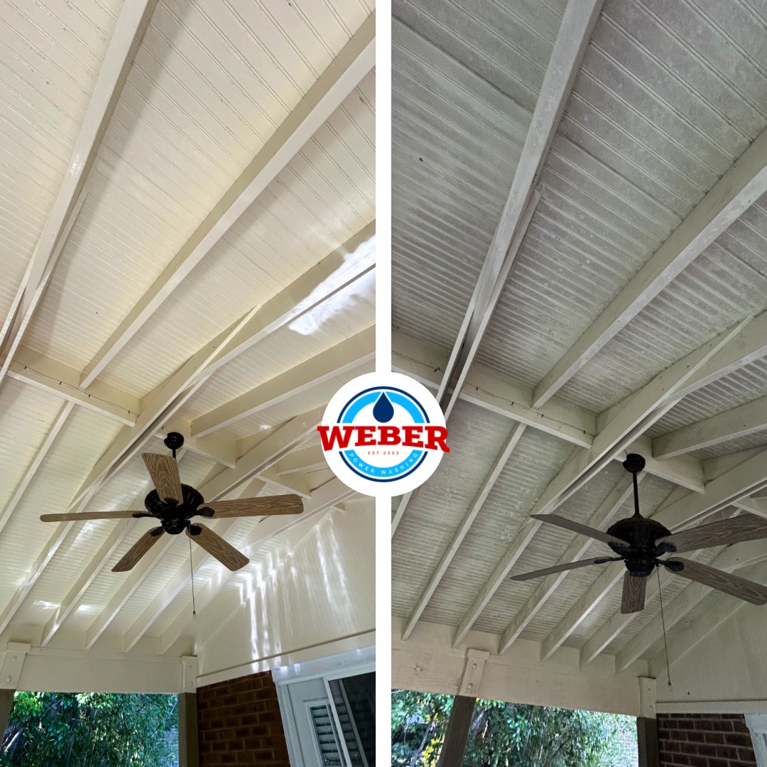This Deck in Wilmington, NC hadn't been cleaned in 10 Years!